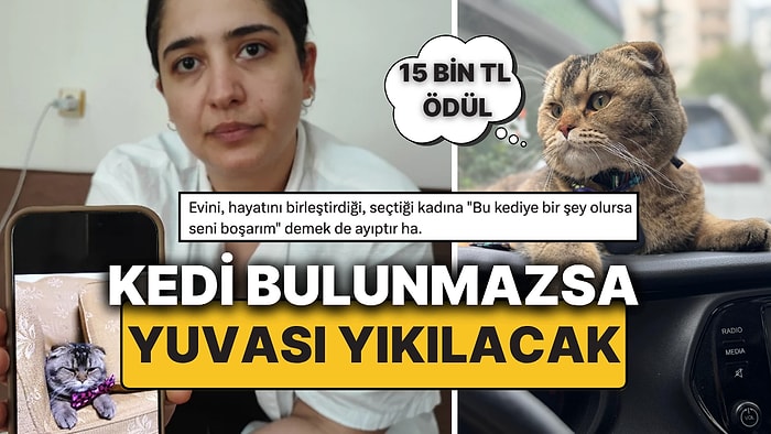 Kayıp Kediyi Bulana 15 Bin TL Ödül, Yoksa Yuvası Yıkılacak "Kediye Bir Şey Olursa Seni Boşarım!"