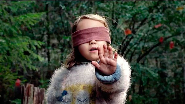 7. Bird Box (2018)