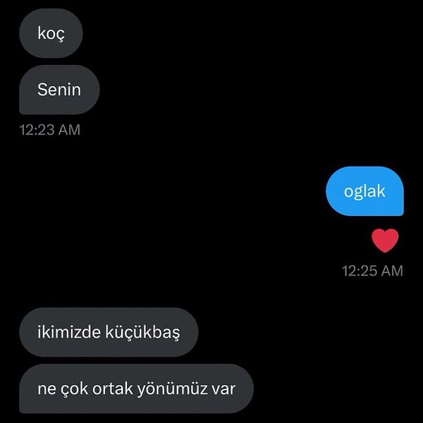 Maksimum astroloji bilgisi bu olmalı... Görseli