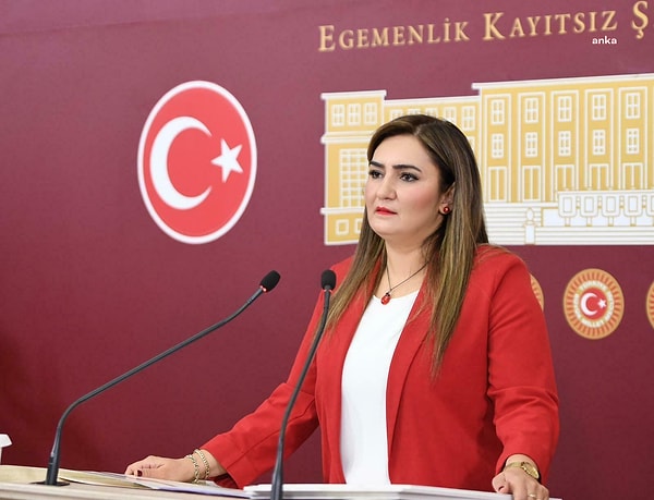 Bir internet sitesi CHP Milletvekili Sevda Erdan Kılıç'ı öldürdü... Görseli