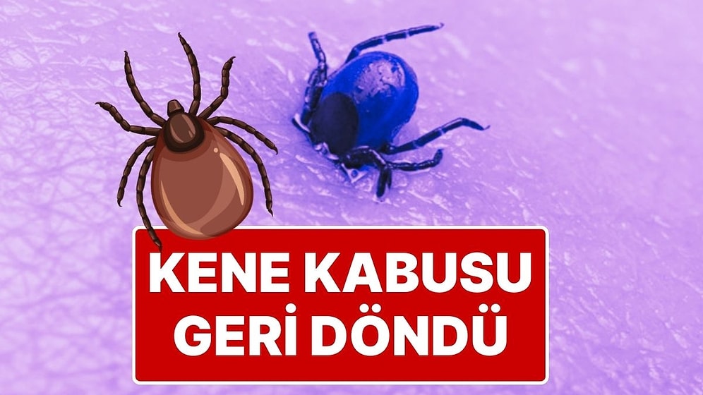 Kene Kabusu Geri Döndü: Sivas’ta Keneden Ölenlerin Sayısı 2 Oldu