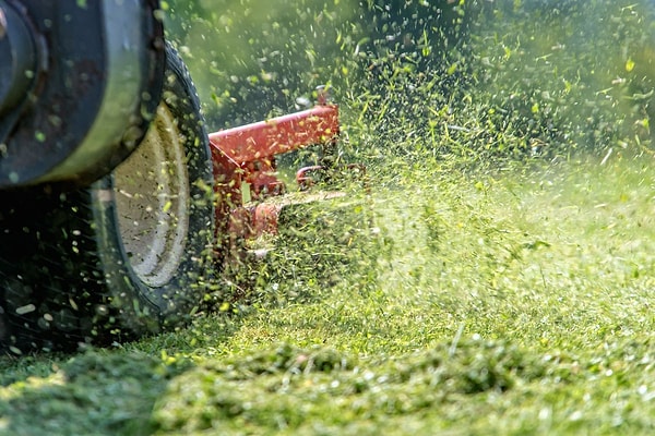 Çimler biçildiğinde havaya tam olarak ne salınıyor? Görseli