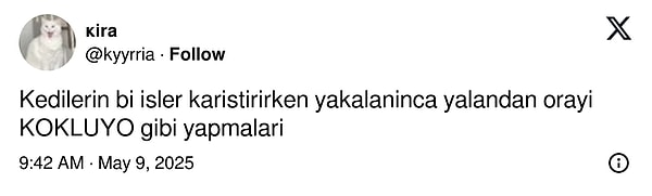 Bir de gözlem!