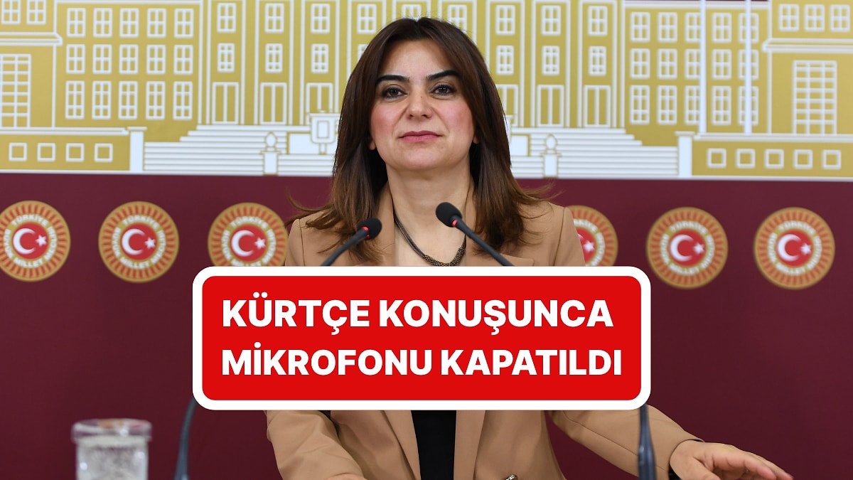 Gülistan Koçyiğit TBMM&apos;de Kürtçe Konuşmaya Başladı: MHP&apos;li Celal Adan Mikrofonu Kapattı