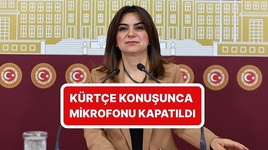 Gülistan Koçyiğit TBMM'de Kürtçe Konuşmaya Başladı: MHP'li Celal Adan Mikrofonu Kapattı