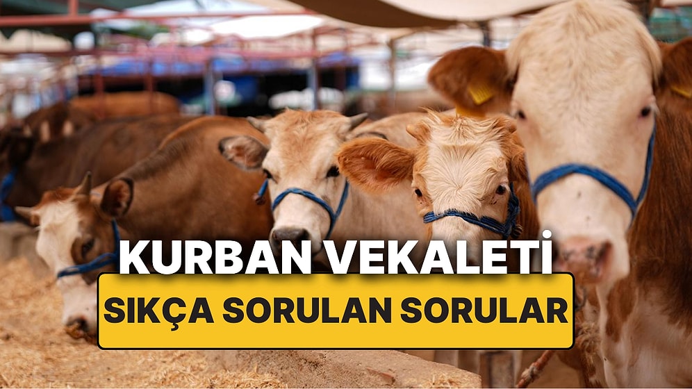 Kurban Vekaleti Nasıl Verilir ve Kimlere Verilir? İşte Kurban Vekaleti Hakkında Sıkça Sorulan Sorular