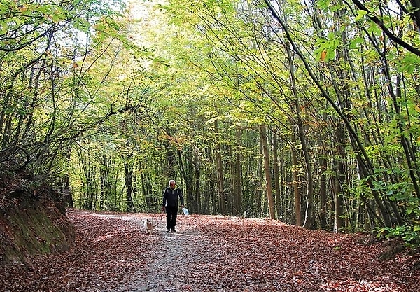 Polonezkoy Nature Park