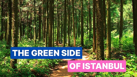 Polonezkoy Travel Guide: Best Places to Visit in Istanbul’s Green Getaway