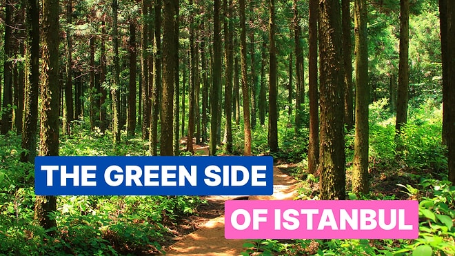 Polonezkoy Travel Guide: Best Places to Visit in Istanbul’s Green Getaway