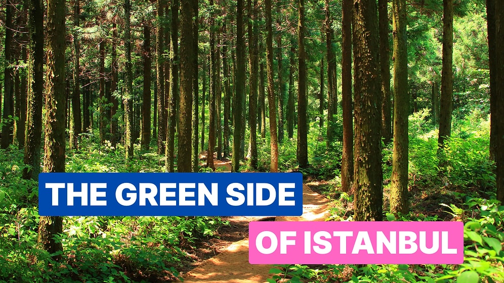 Polonezkoy Travel Guide: Best Places to Visit in Istanbul’s Green Getaway