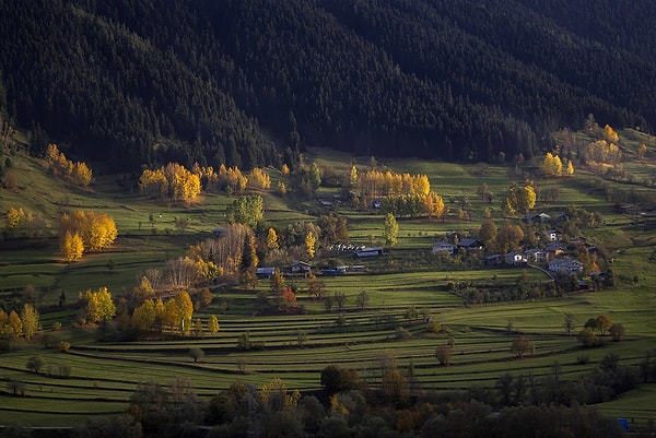 9. Şavşat (Artvin)