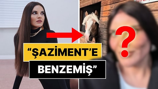 Şaziment Benzetmesi Sosyal Medyayı Salladı: Estetiği Fazla Kaçıran Göksel'in Yeni Hali Dillere Fena Düştü!