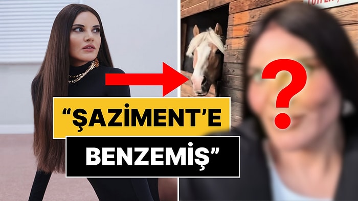 Şaziment Benzetmesi Sosyal Medyayı Salladı: Estetiği Fazla Kaçıran Göksel'in Yeni Hali Dillere Fena Düştü!