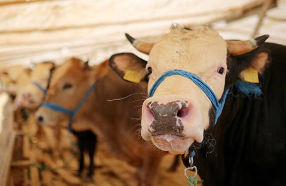 Ülkemizde sık görülen ve bayram sürecinde özellikle dikkat edilmesi gereken...