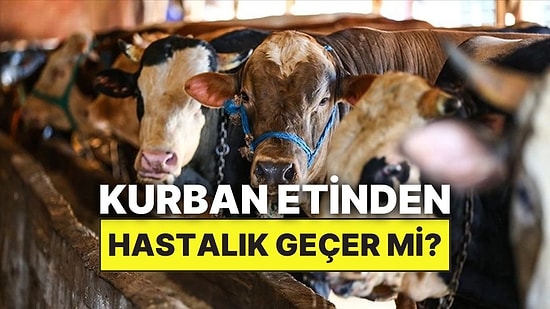 Kurban Etinden Hastalık Geçer mi? Kurban Kesiminde Dikkat Edilmesi Gereken Hastalıklar