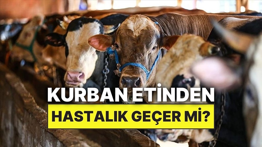Kurban Etinden Hastalık Geçer mi? Kurban Kesiminde Dikkat Edilmesi Gereken Hastalıklar