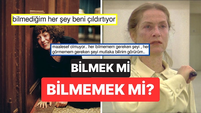 "Bilmemek En Büyük Konfor Alanıdır" Diyen Kullanıcıya Gelen Pek Bi' Haklı Yorumlar