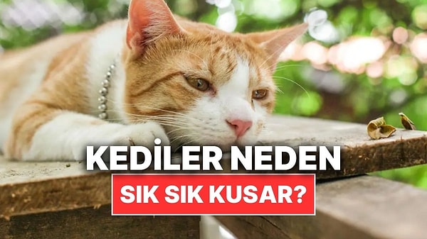 Kapak Görseli