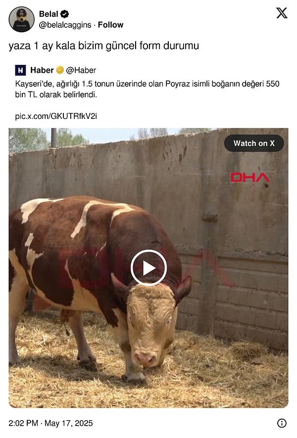 Yine diyetler yapılamadı… 👇
