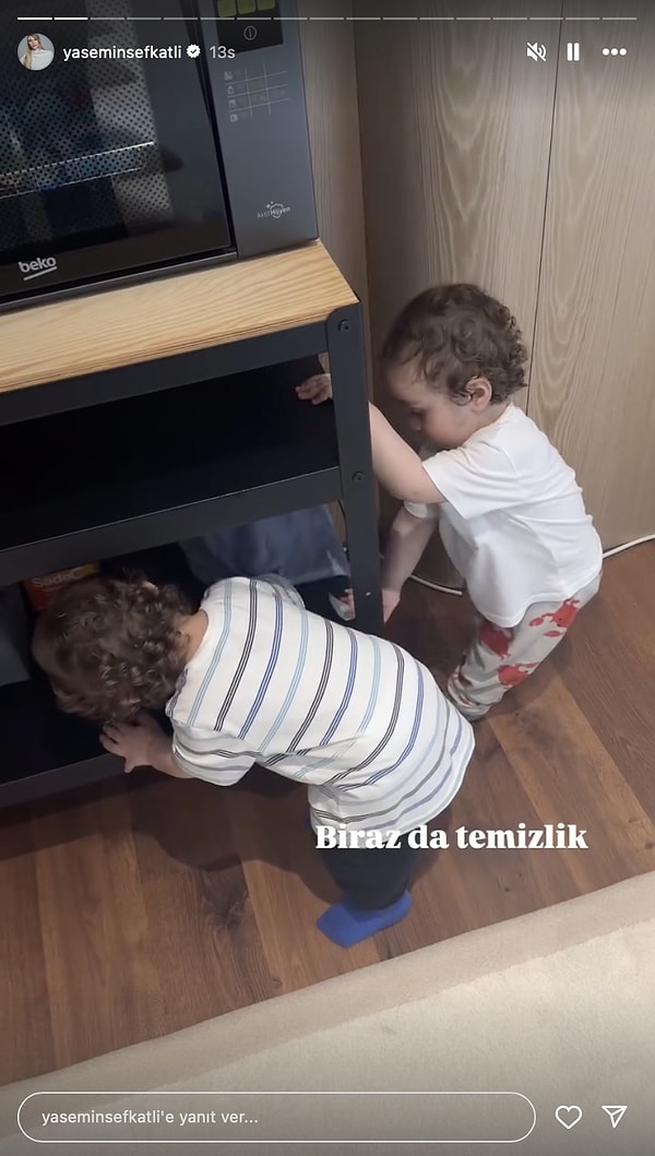 Yasemin Tatlıses