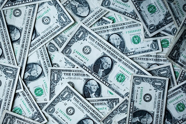 10. Basit bir soru ile bitirelim: “Dolarizasyon” neyi ifade eder?