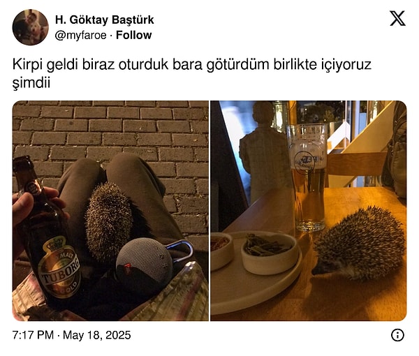 Örnek bir dostluk...