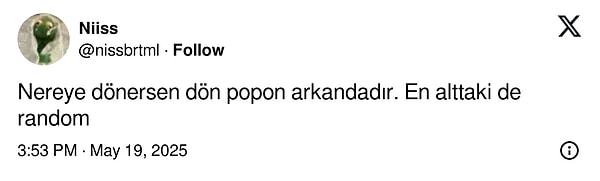 👇🏻