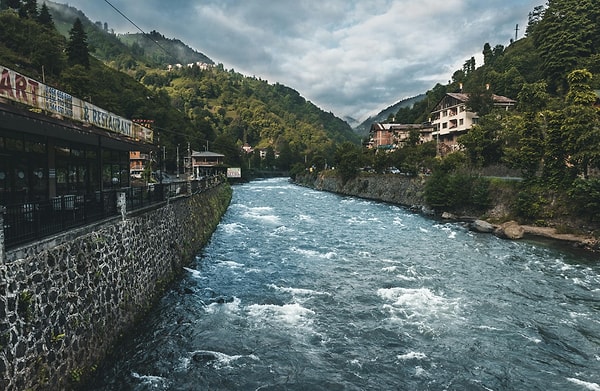 🌲 Black Sea Region