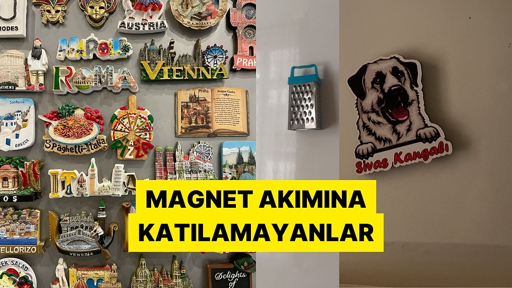 Dünya Haritasına Dönen Buzdolaplarına İnat Mütevazı Magnetlerini Paylaşan Kişiler