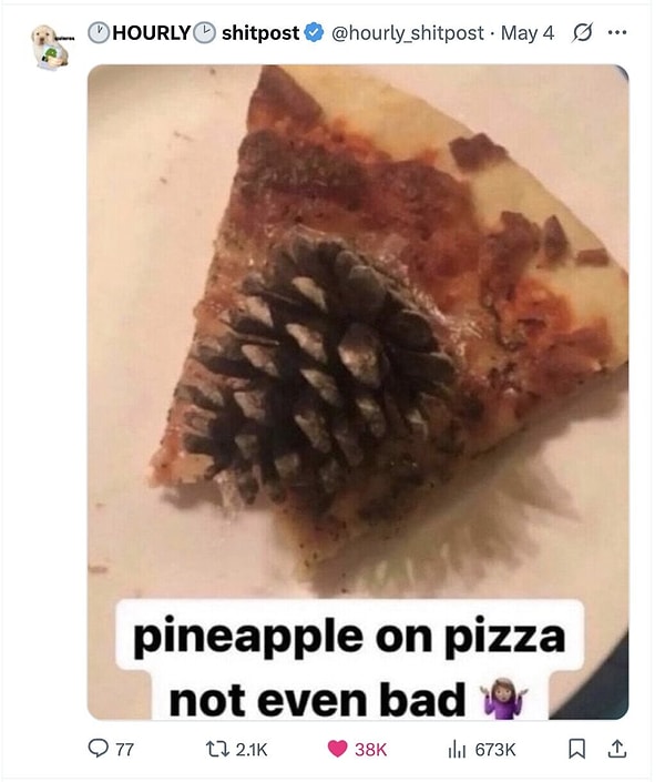 9. "Pizzanın üstüne ananas eklemek o kadar da kötü değilmiş..."