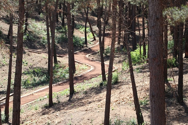 12. Kanuni Sultan Suleiman Urban Forest