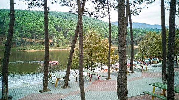 Places to Visit in Aydos Forest