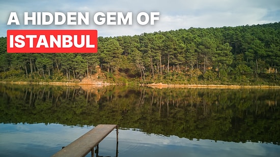 Aydos Forest Travel Guide: How to Get There and What to See in Istanbul's Green Escape
