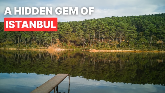 Aydos Forest Travel Guide: How to Get There and What to See in Istanbul's Green Escape