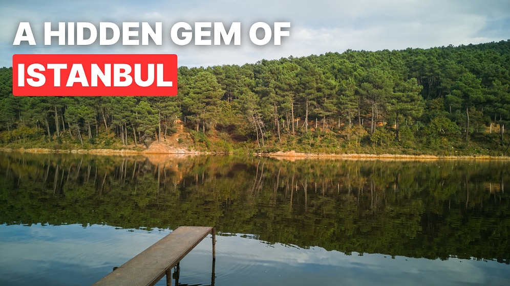Aydos Forest Travel Guide: How to Get There and What to See in Istanbul's Green Escape
