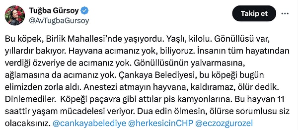 Tuğba Gürsoy isimli hayvanseverin iddiasına göre belediye ekipleri köpeği zorla aldı ve anestezi verildiğini iddia etti. Görseli