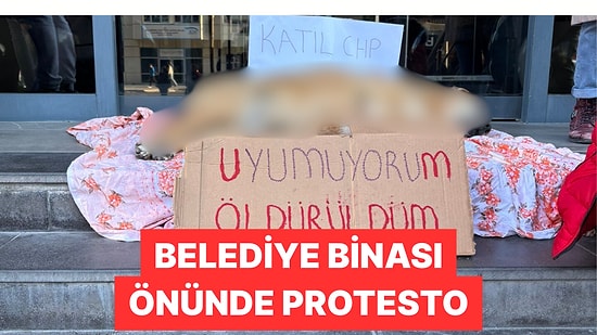 Sokak Köpeğinin Ölümüne Neden Olduğu İddia Edilen Çankaya Belediyesi Tepki Çekti