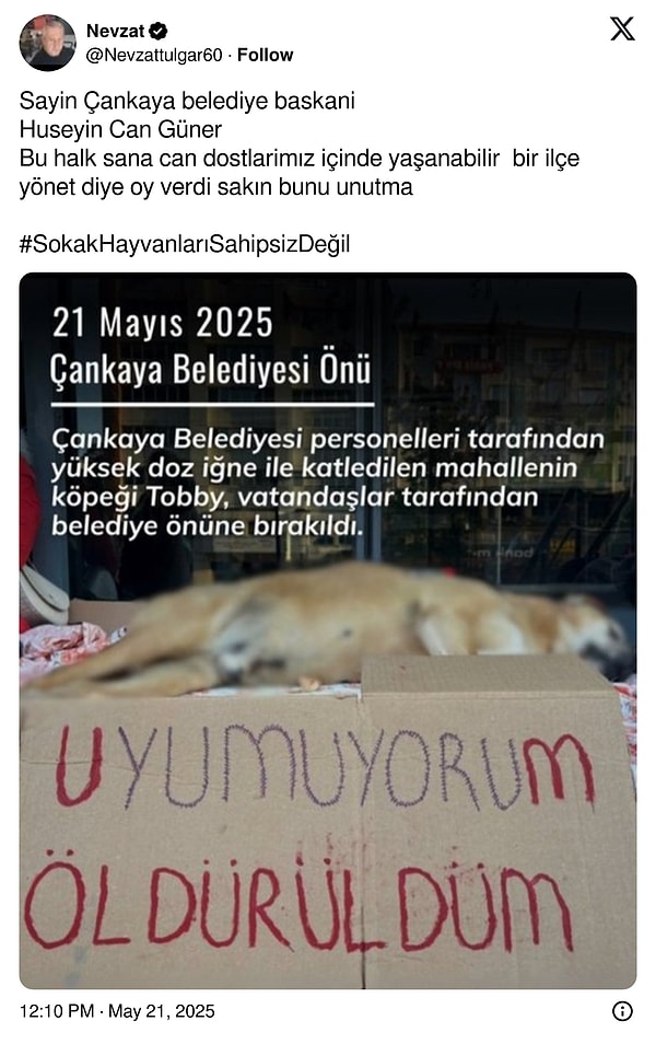 "Bu halk sana can dostlarımız içinde yaşanabilir bir ilçe yönet diye oy verdi" 👇 Görseli