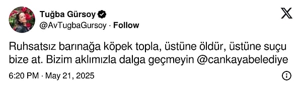 Hatta, olayı gündeme getiren Tuğba Gürsoy, barınağın ruhsatsız olduğunu da iddia etti.