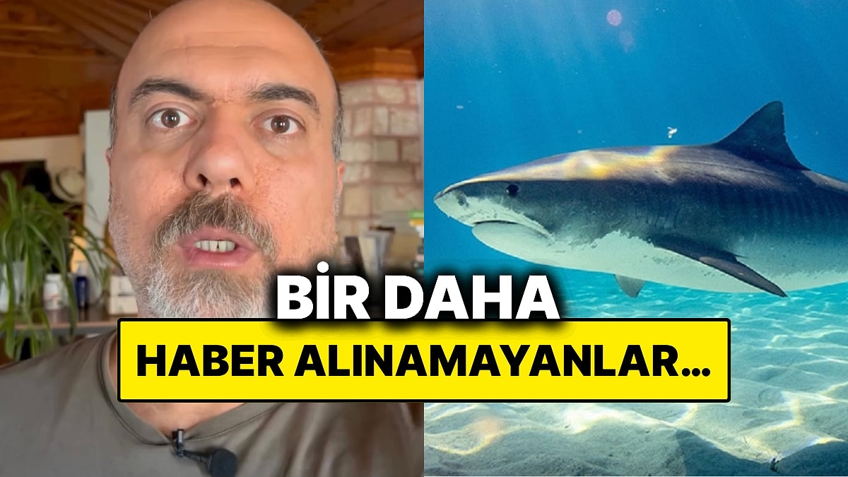 Bir İçerik Üreticisi Türkiye’de Kayda Geçen Köpek Balığı Saldırılarını Anlattı