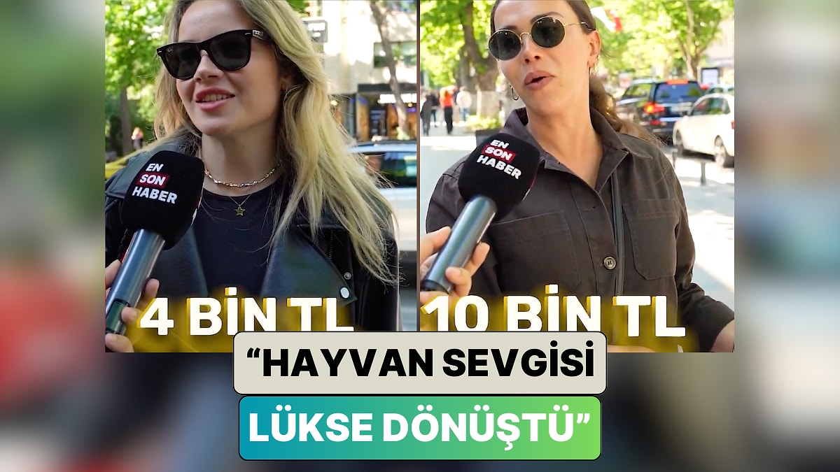 Bir Sokak Röportajında İnsanlara Evcil Hayvanlarının Aylık Masrafları Soruldu: &quot;Hayvan Sevgisi Lükse Dönüştü&quot;