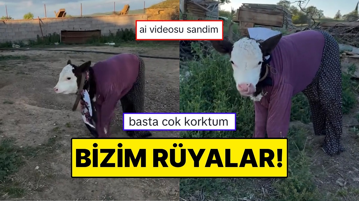 Buzağıya Şalvar Giydiren İçerik Üreticisi Rüyalarımızın Tasvirini Yarattı