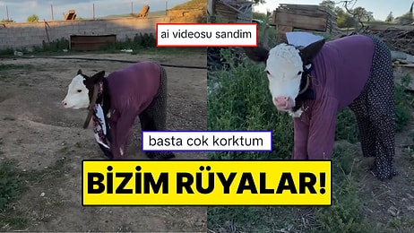 Buzağıya Şalvar Giydiren İçerik Üreticisi Rüyalarımızın Tasvirini Yarattı