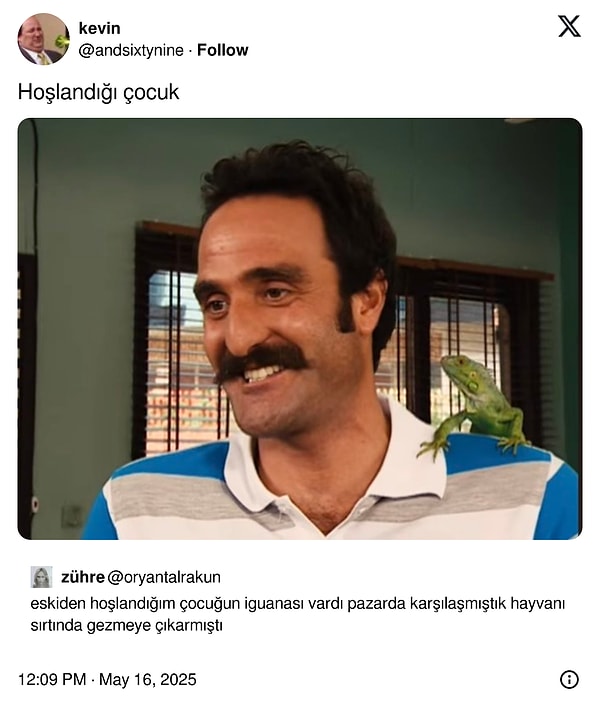 Cuk oturmuş! Görseli