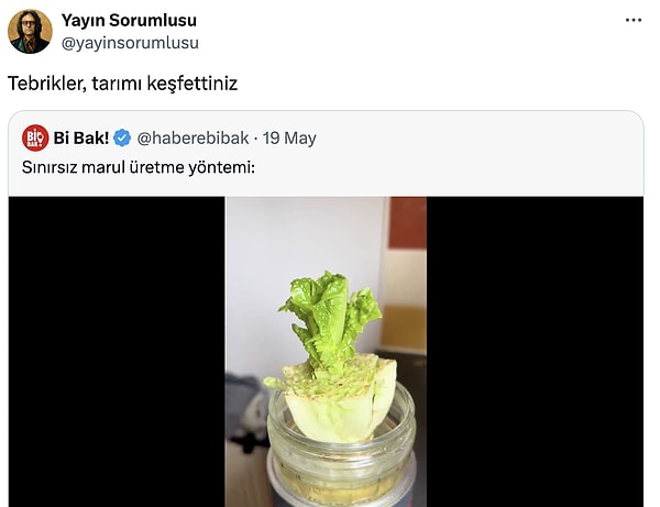 👇