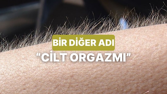 Neden Müzik Dinlediğimizde Tüylerimiz Diken Diken Oluyor?