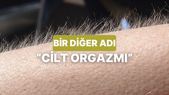 Neden Müzik Dinlediğimizde Tüylerimiz Diken Diken Oluyor?