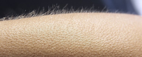 "Frisson denilen şeyin bilimsel olarak takibi nasıl yapıldı?" diye soran olursa... 👇