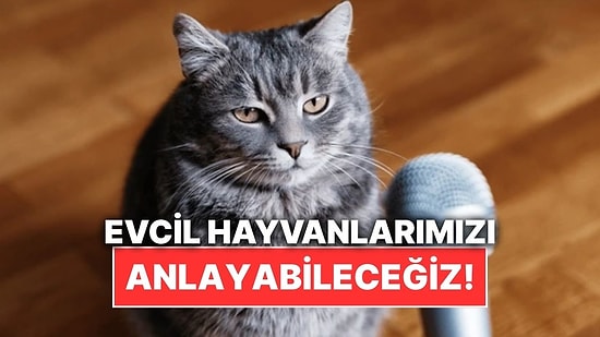 Çinli Teknoloji Devi Evcil Hayvanların Seslerini İnsan Diline Çevirmeye Hazırlanıyor