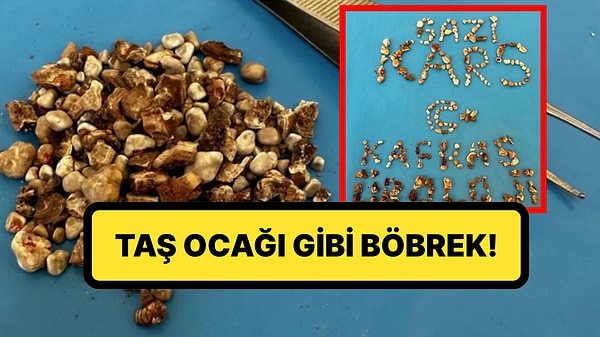Kapak Görseli